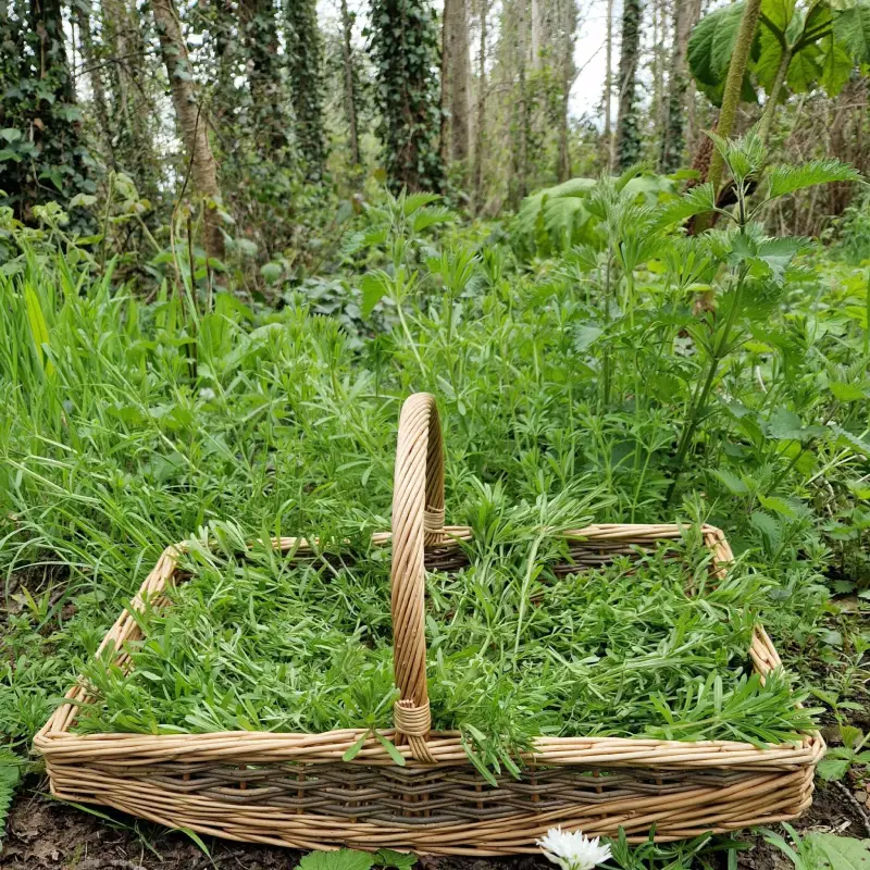foraging basket
