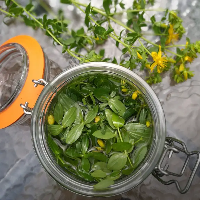 herb jar
