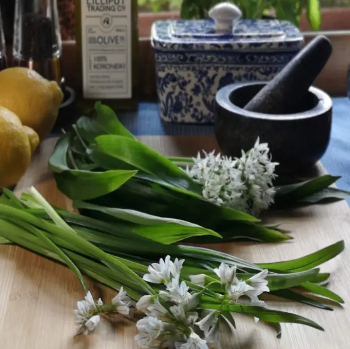 herbs on table