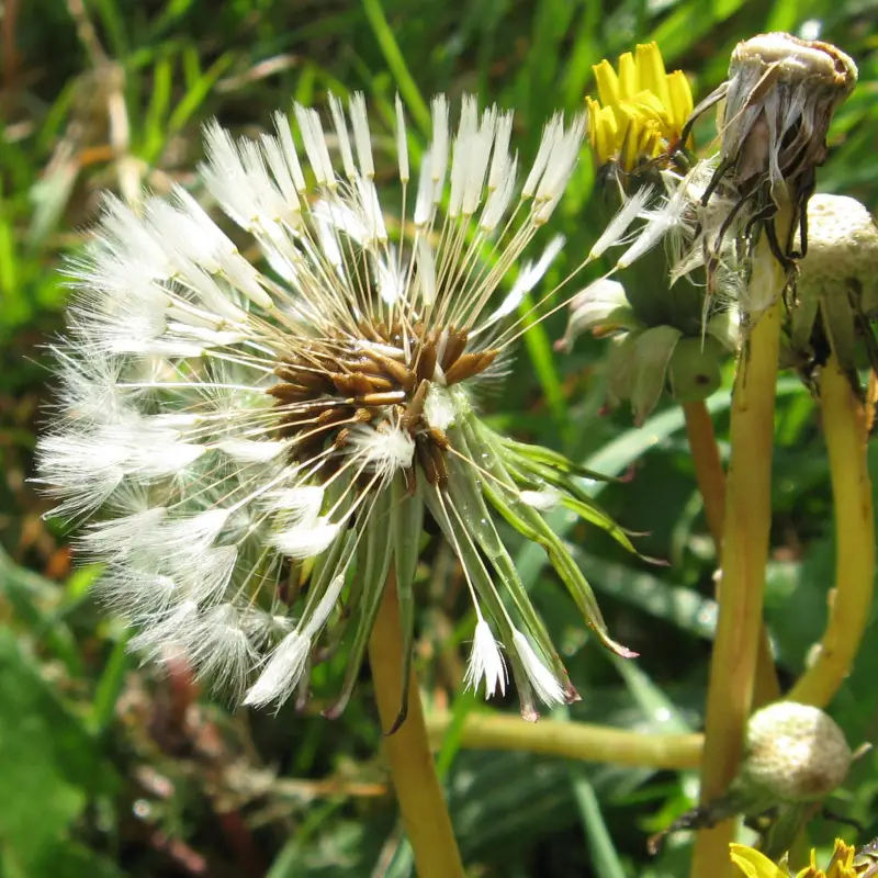 sustainability experiences