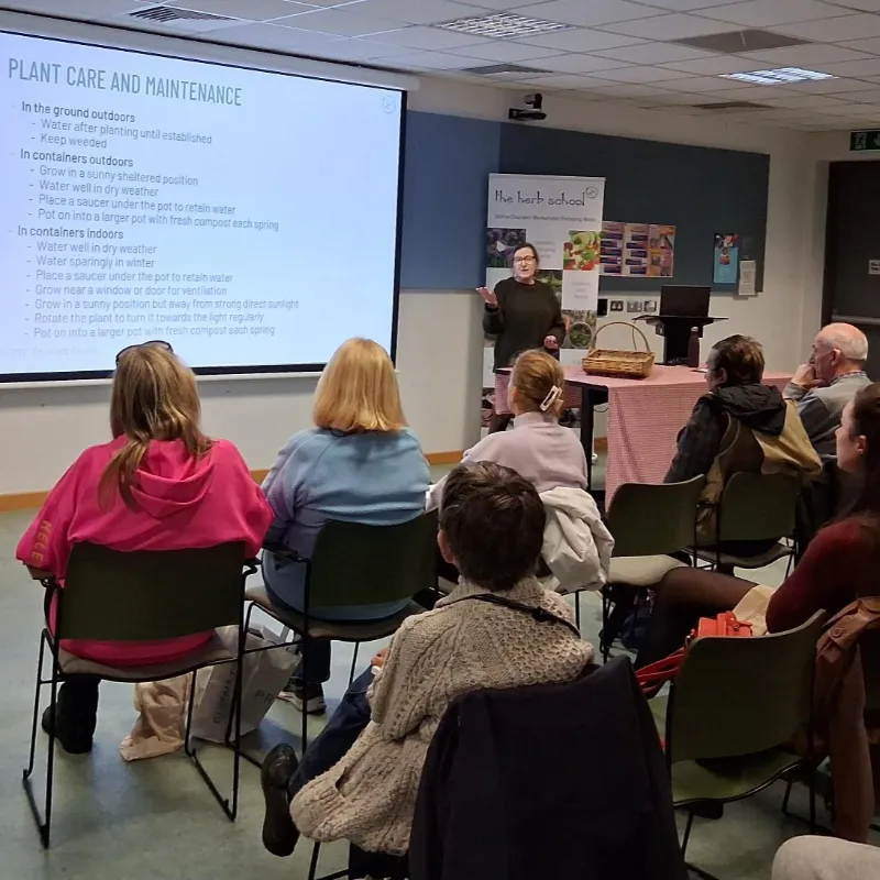 Blanchardstown library talk 1