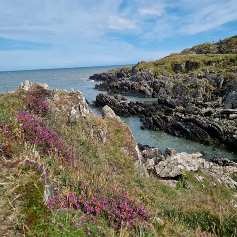 Clogherhead cliff walk