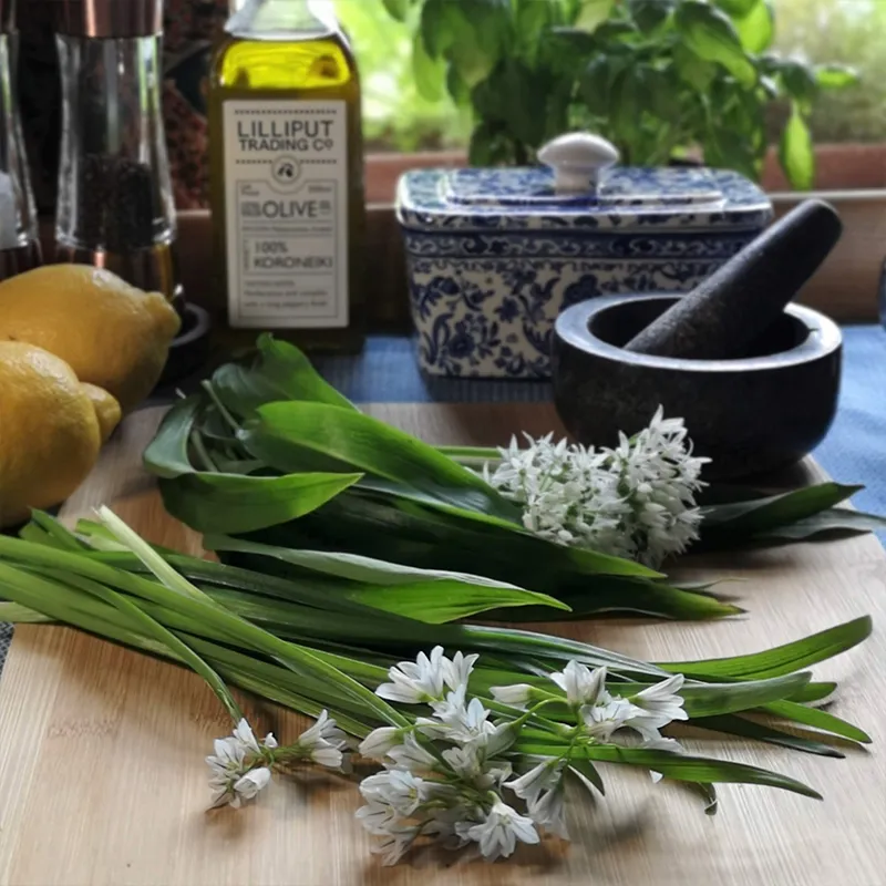 Cooking with wild garlic