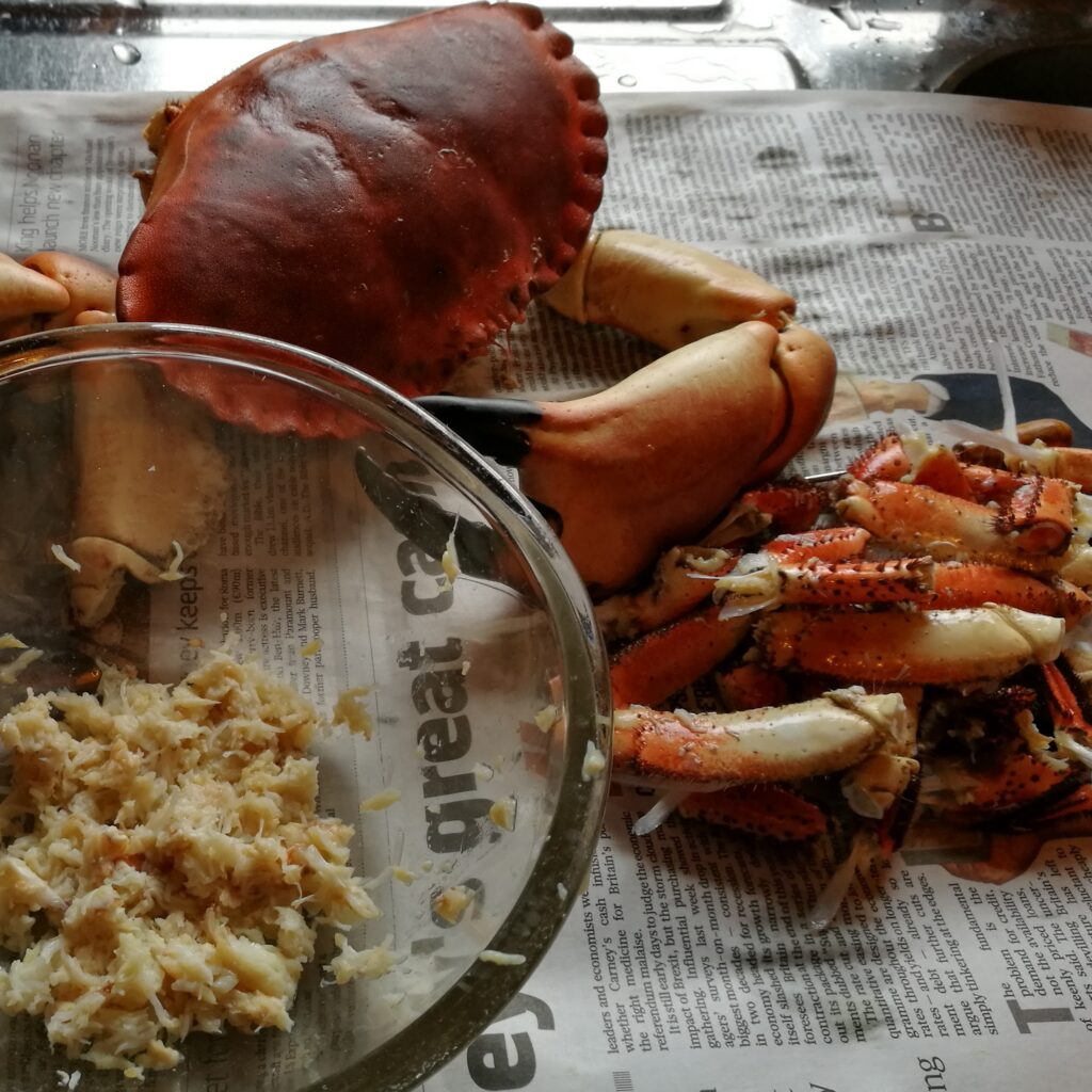 Crab and claws