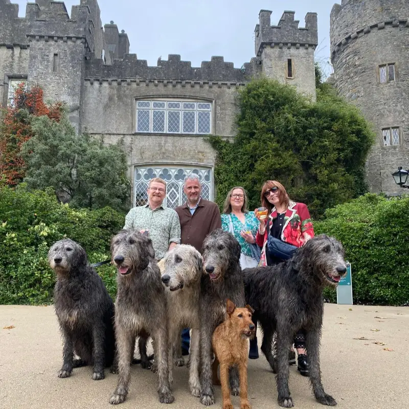 Malahide Castle with wolfhounds