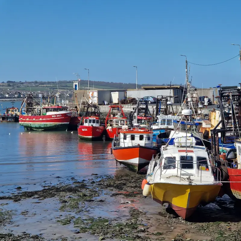 Skerries harbour