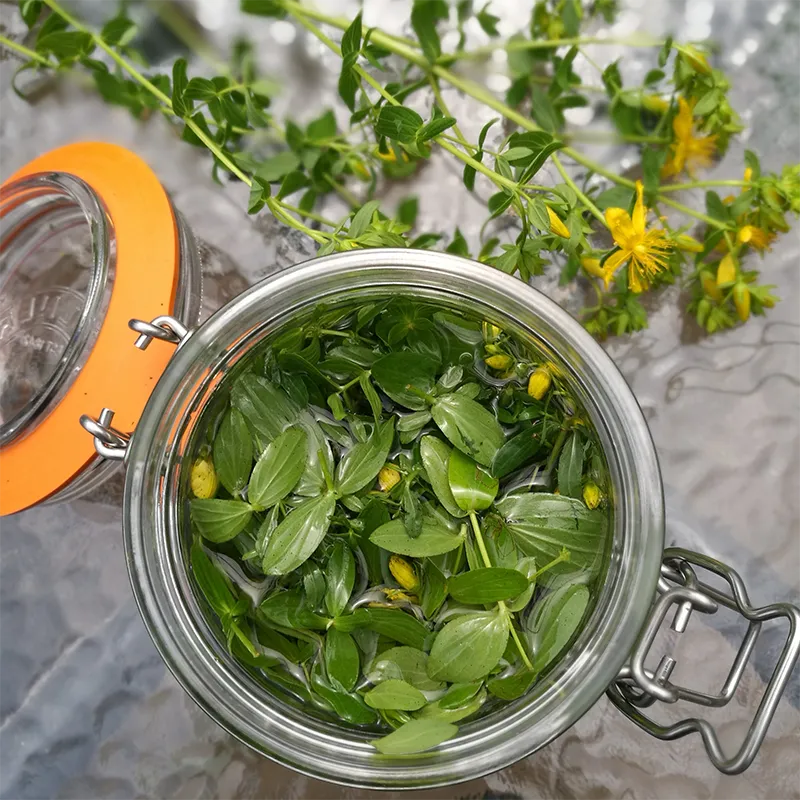 St Johns Wort