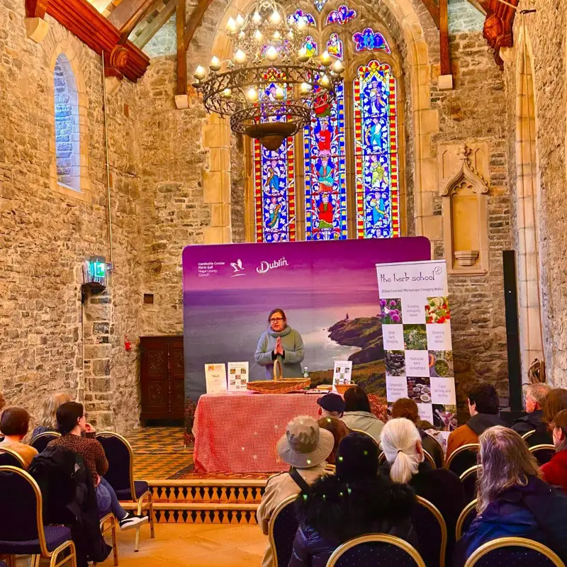 Swords castle talk close up