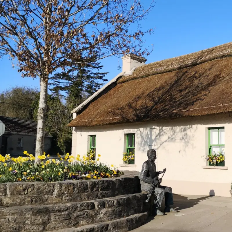 The Seamus Ennis Arts Centre
