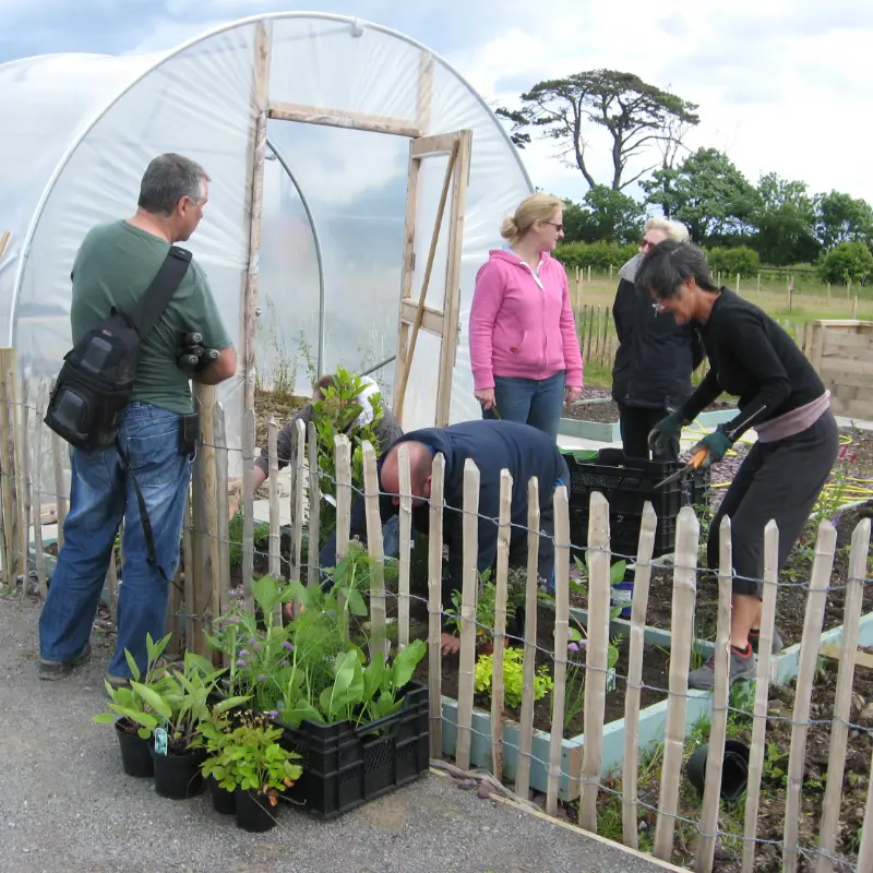 balbriggan allotments