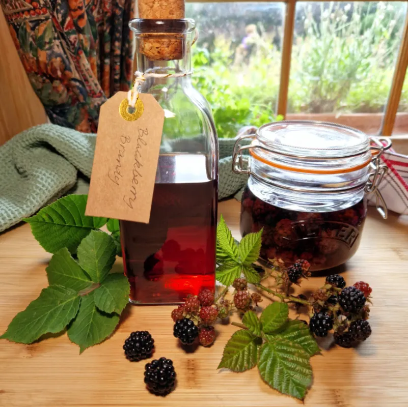 blackberry brandy liqueur