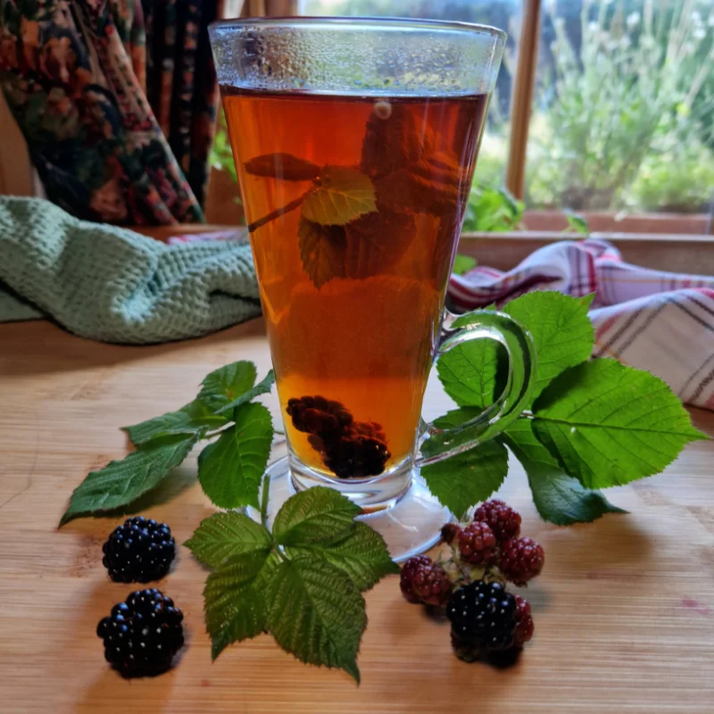 blackberry tea