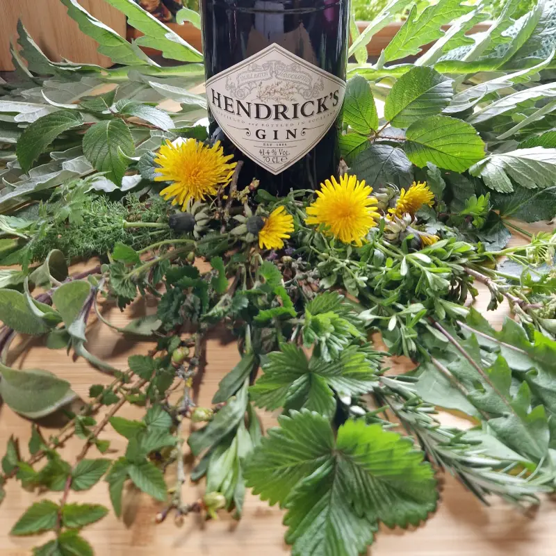 botanicals hendricks gin