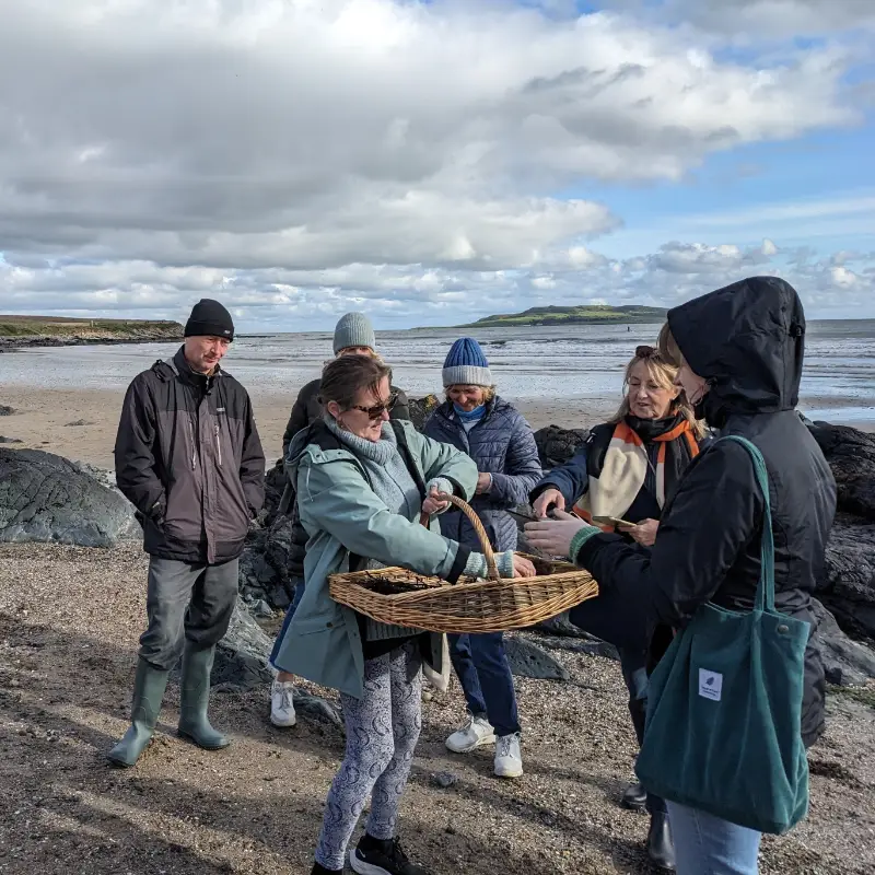 donabate foraging