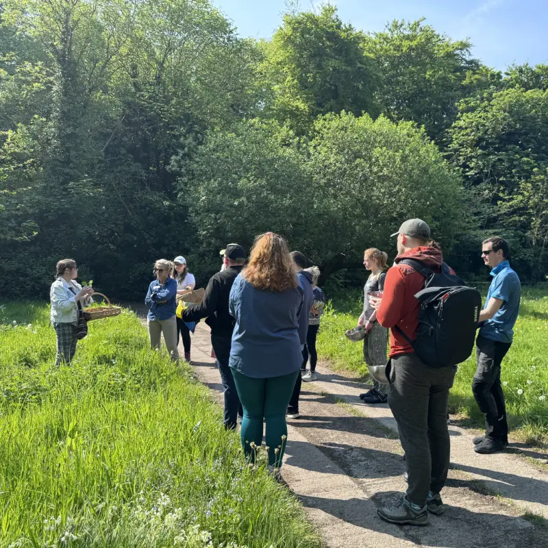 foraging howth castle meadow close up