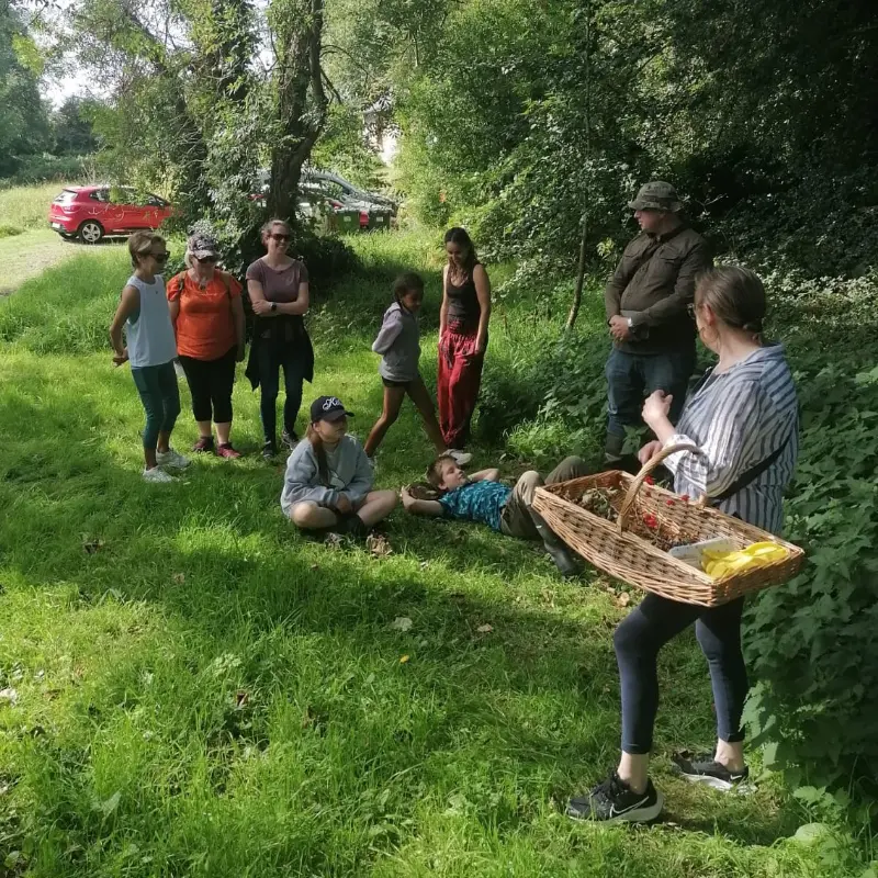 foraging introduction at the herb garden
