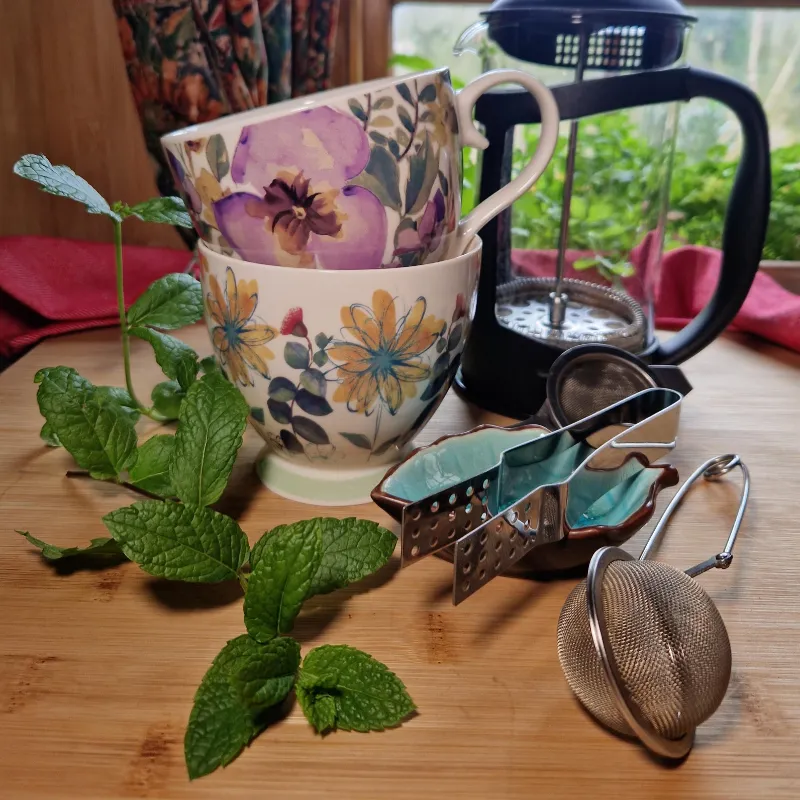 herb tea equipment