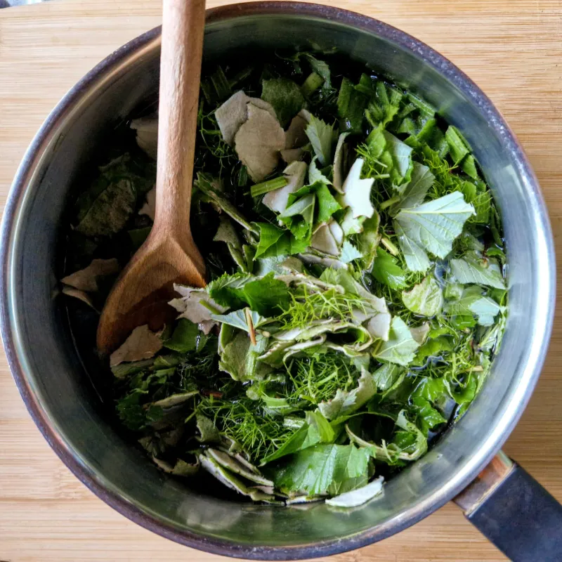 herbal decoction