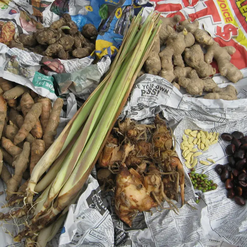 indonesian spices