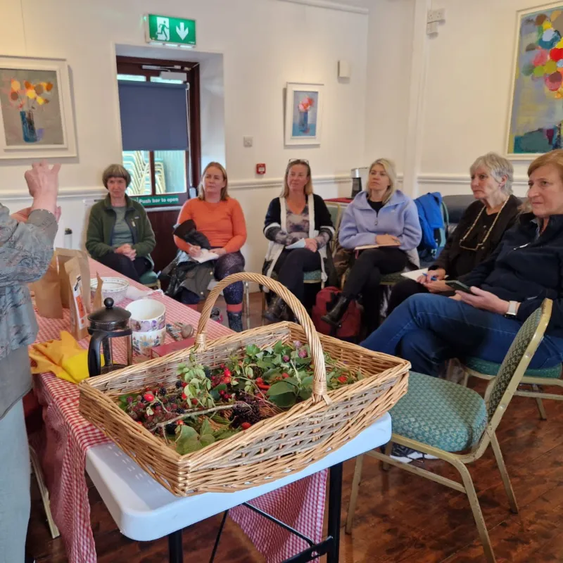 medicinal herb workshop demo