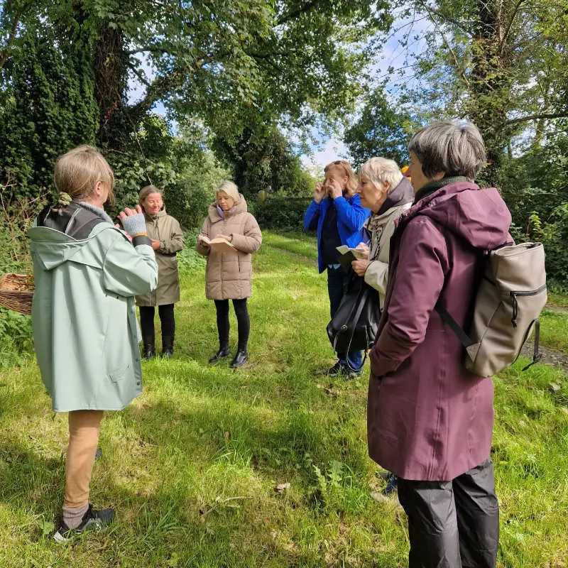 medicinal herb workshop identification