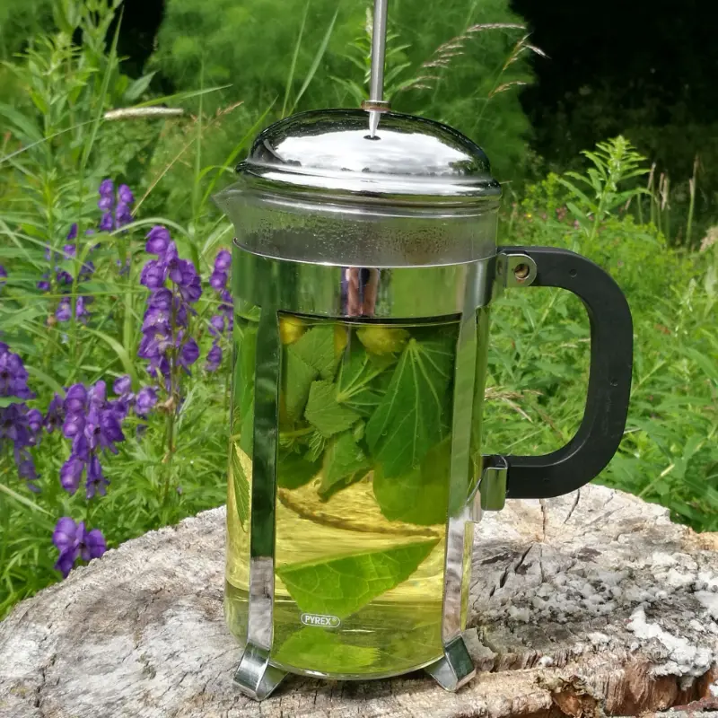mullein and marshmallow tea