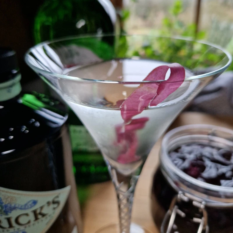 pickled seaweed dirty martini