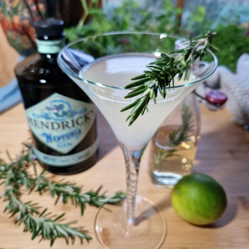 rosemary gimlet cocktail
