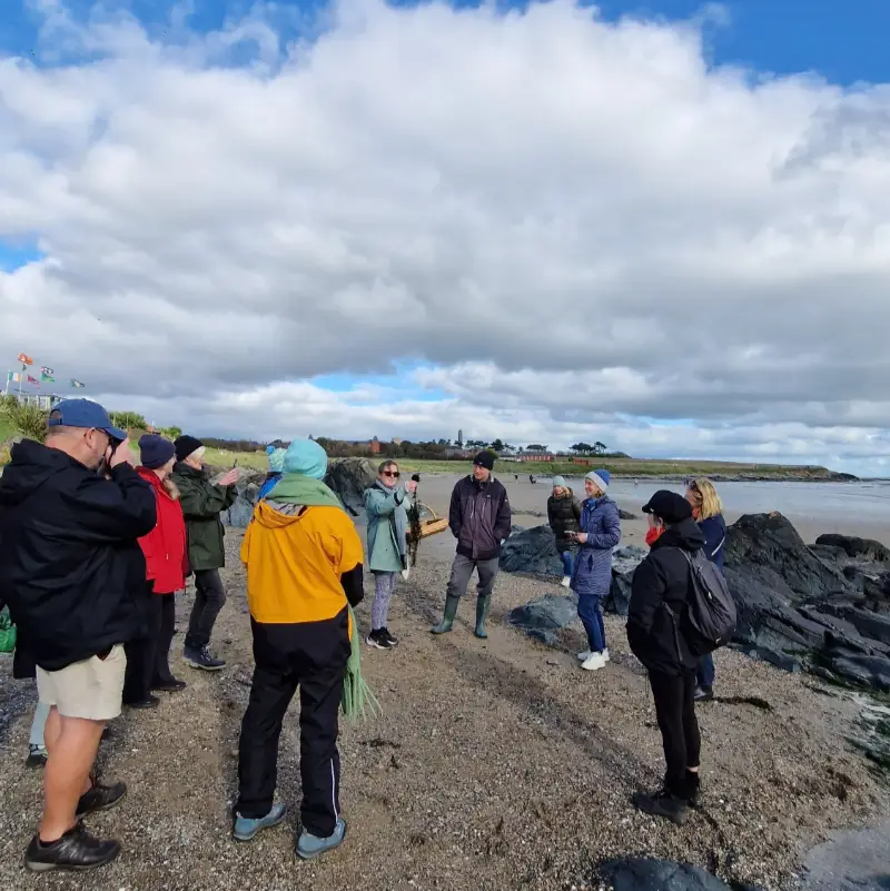 seashore foraging donabate dublin