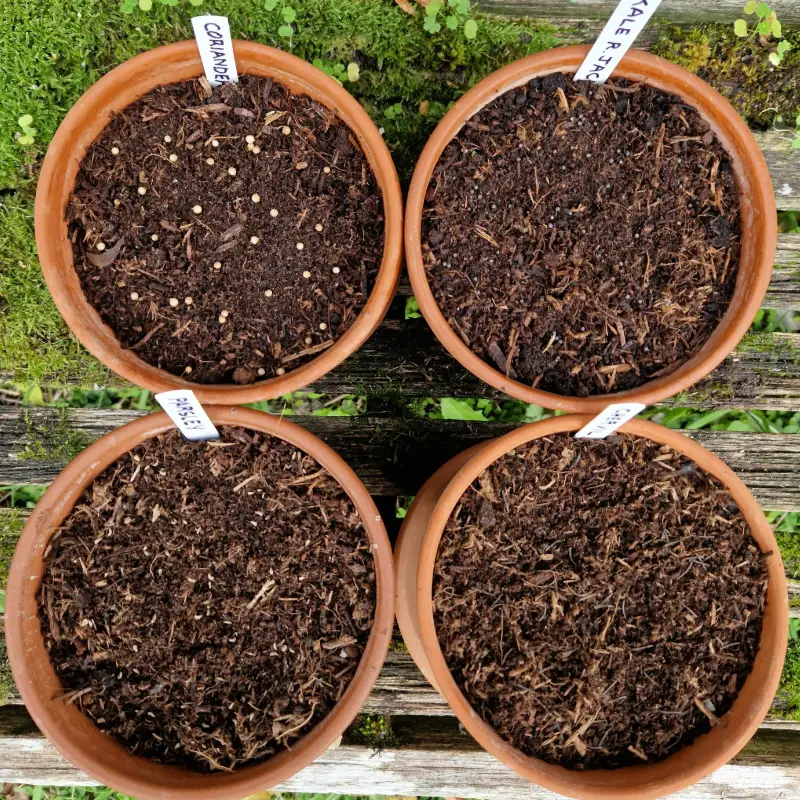 seed sowing pots