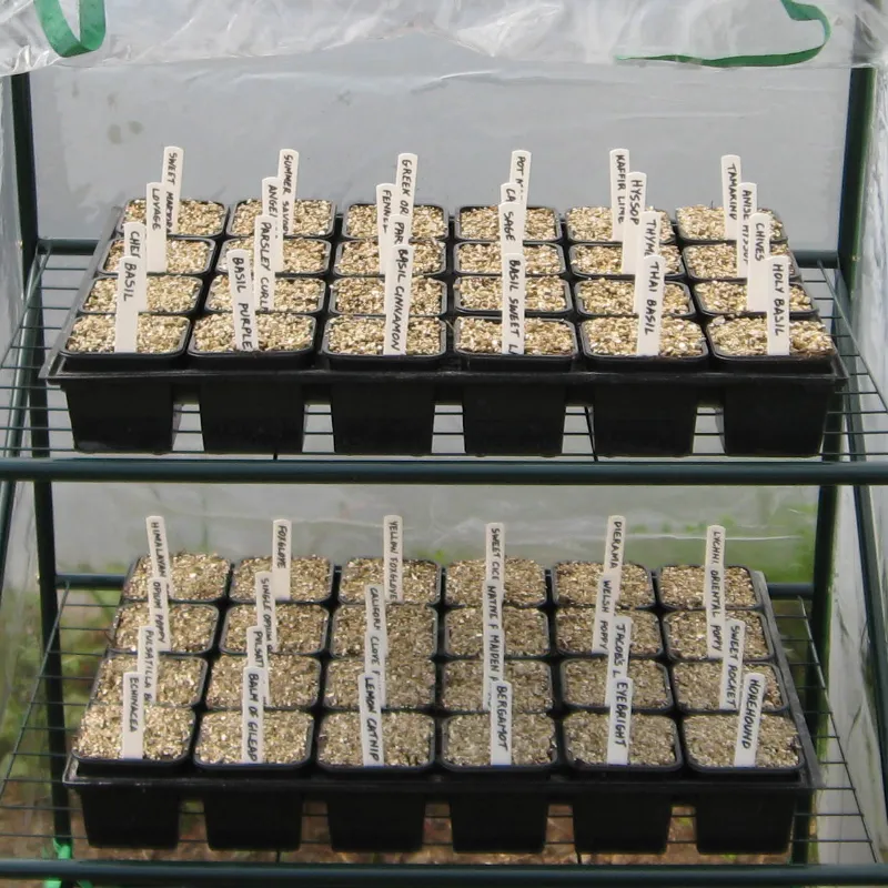 seed sowing