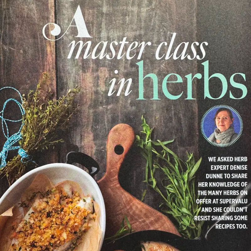 supervalu fresh magazine cover page