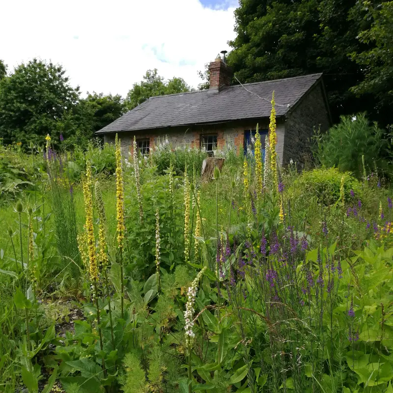 the herb garden cottage