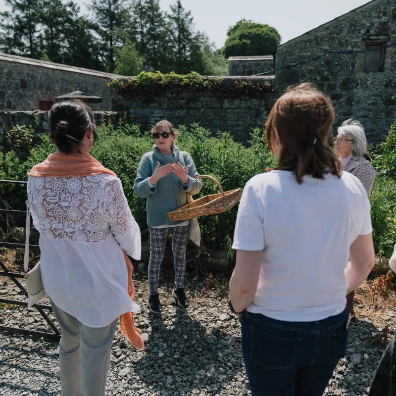 the+walled garden at Whitestown
