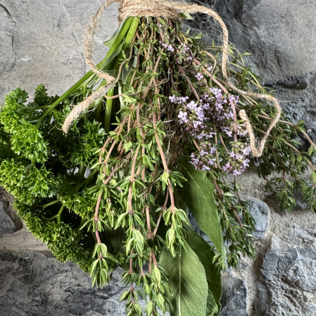 Bunch of herbs hanging close up
