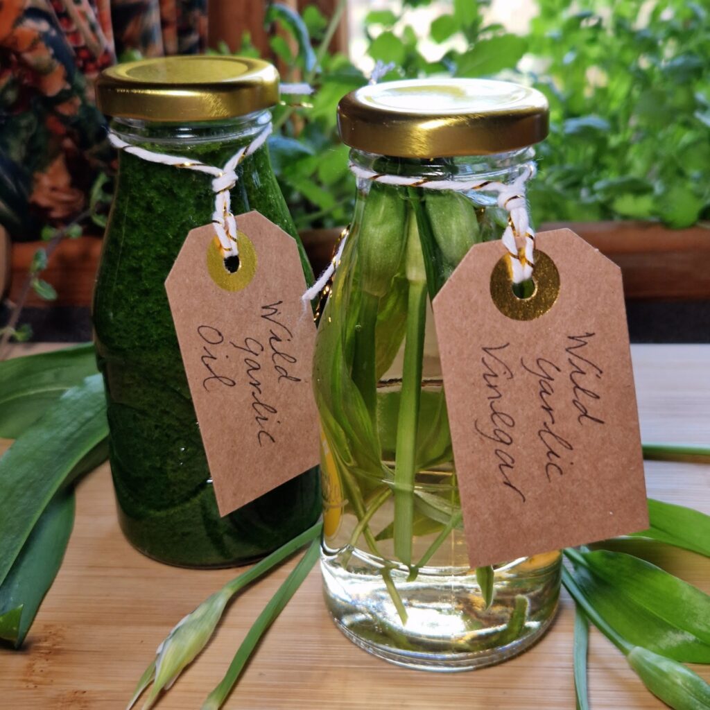 Herb oil and vinegar with wild garlic