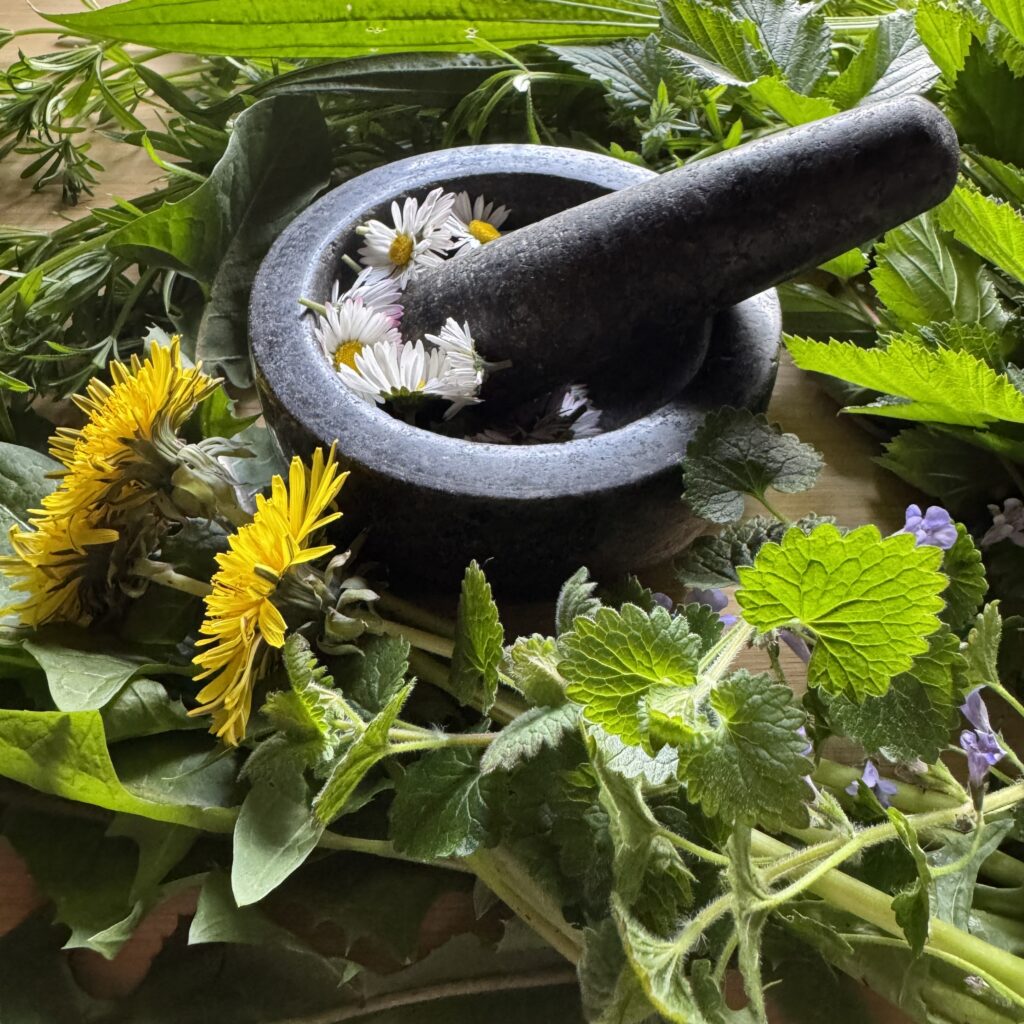 Wild herbs with daisies in mortar and pestle